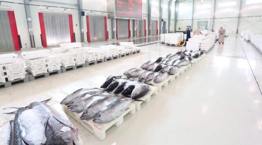 Oman’s Fish Production