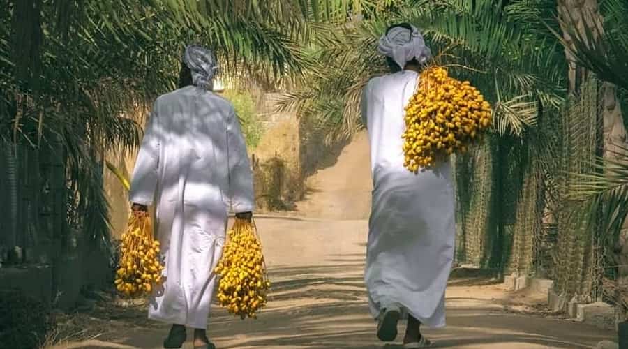 Omani Dates Festival