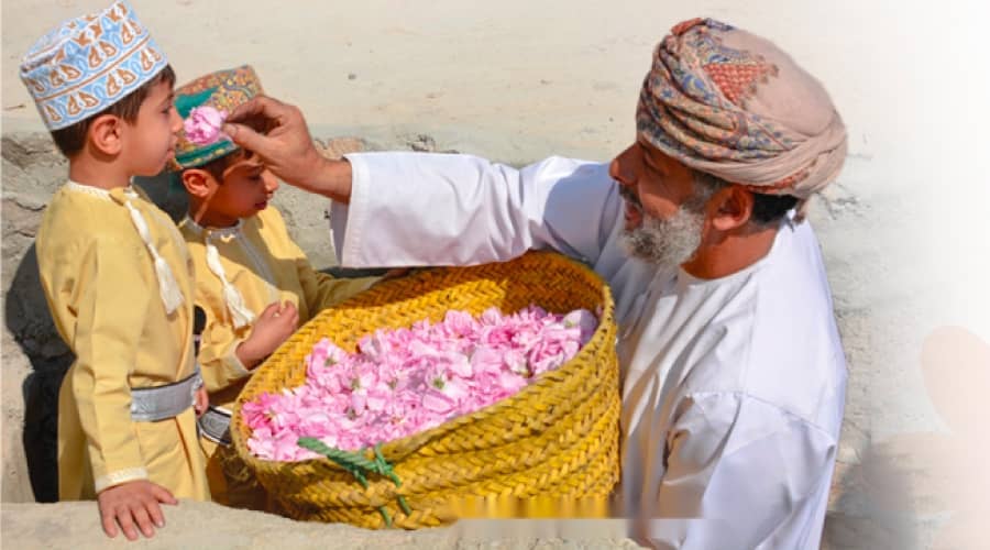 Rose harvest season begins in Jabal Akhdar - Arabian Daily News