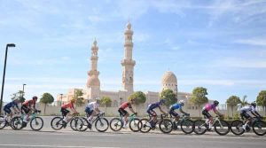 Muscat Classic