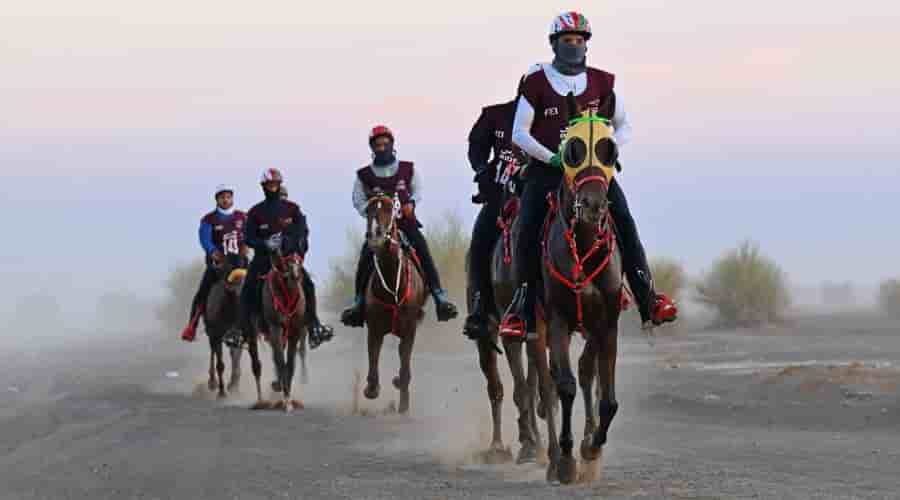 Oman Equestrian and Racing Federation.