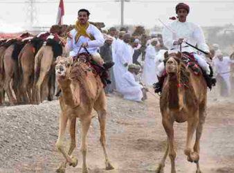 Camel Race