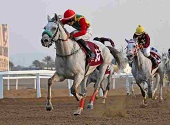 Oman Equestrian Federation