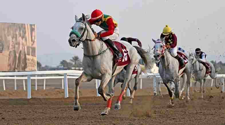 Oman Equestrian Federation