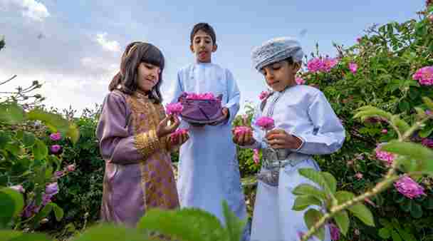 Rose Harvest Festival