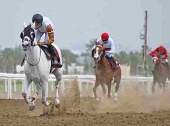 Oman Equestrian