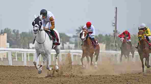 Oman Equestrian