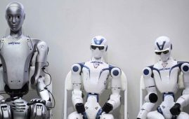 Humanoid Robot