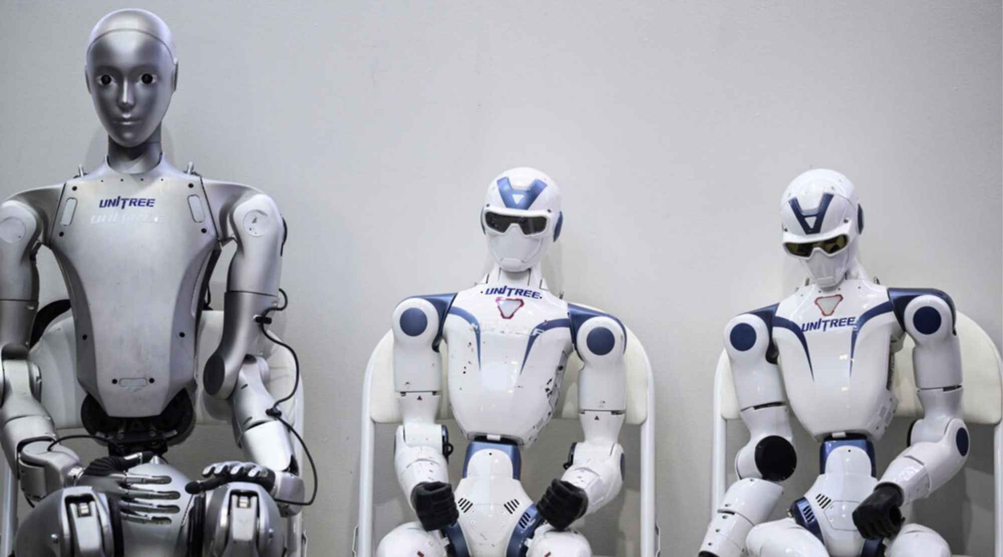 Humanoid Robot