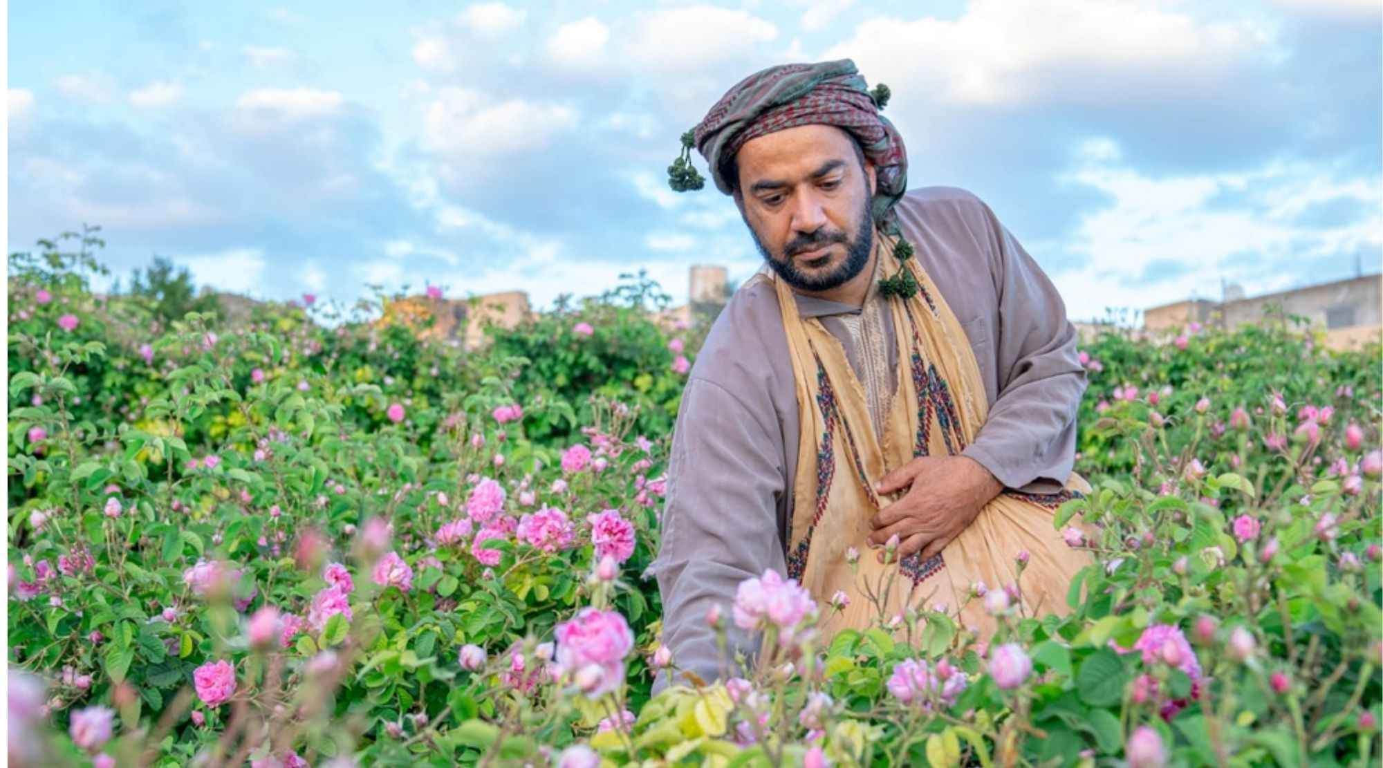 Rose Harvest